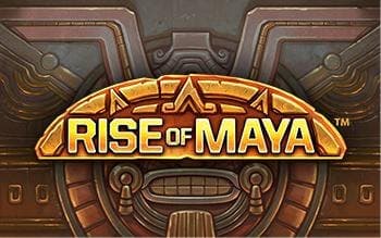 The Rise of Maya