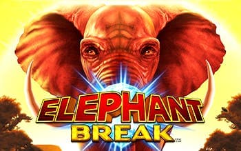 Elephant Break